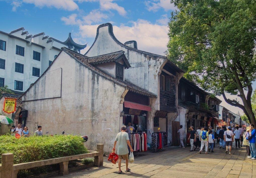 漂亮鹦鹉救援
