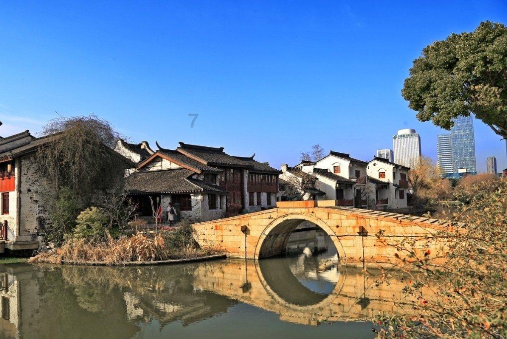 狗狗被扔在路边，淋着雨一脸无辜相，宠主：看你还敢拆家不？